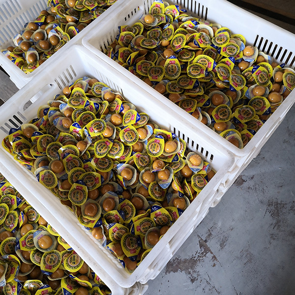 鵪鶉蛋拉伸膜真空包裝機整體沖效果圖 鵪鶉蛋拉伸膜真空包裝機整體沖效果圖